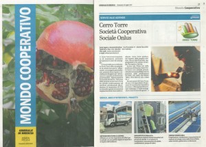 Articolo Giornale di Brescia Cerro Torre