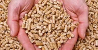 Biomasse: Realtà energetica sostenibile